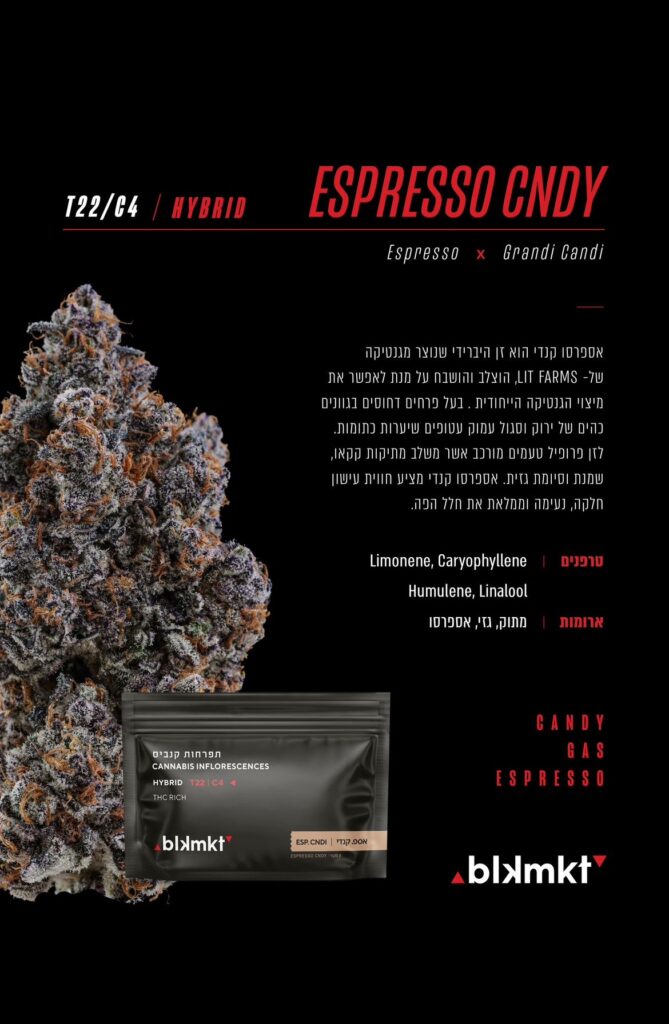 הסבר על הזן אספ קנדי מאת בלקמרקט