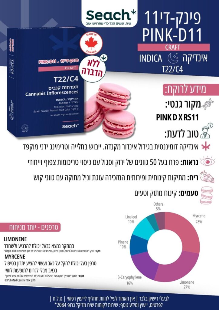 הסבר על הזן פינק די 11
