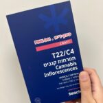 ביקורת זן פינק די 11