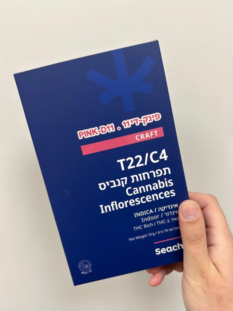 ביקורת זן פינק די 11