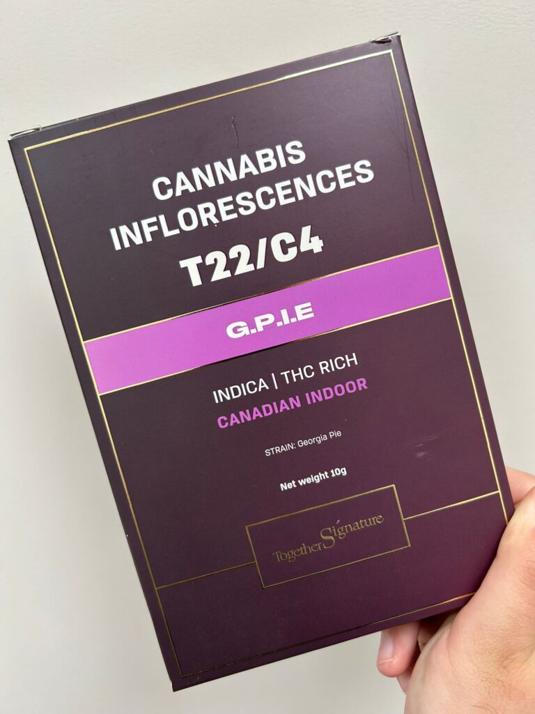 ביקורת זן – ג'י פי איי אי